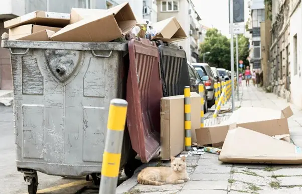 Co zrobić z niepotrzebnymi rzeczami podczas przeprowadzki?